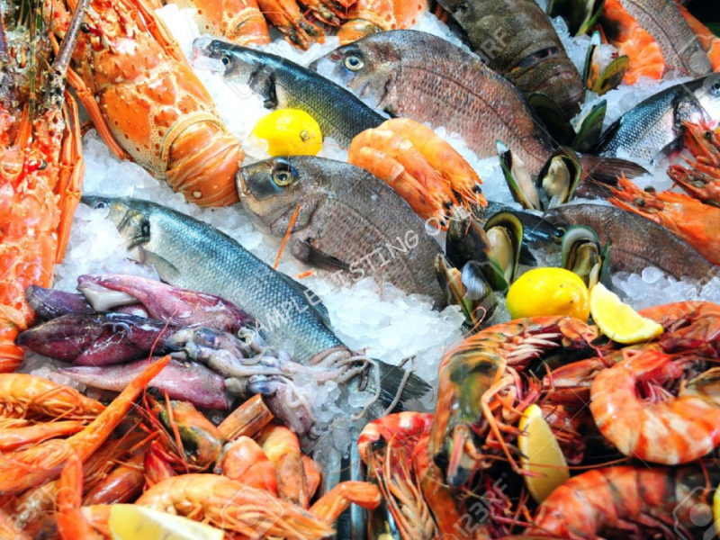 Best Quality Frozen Seafood
